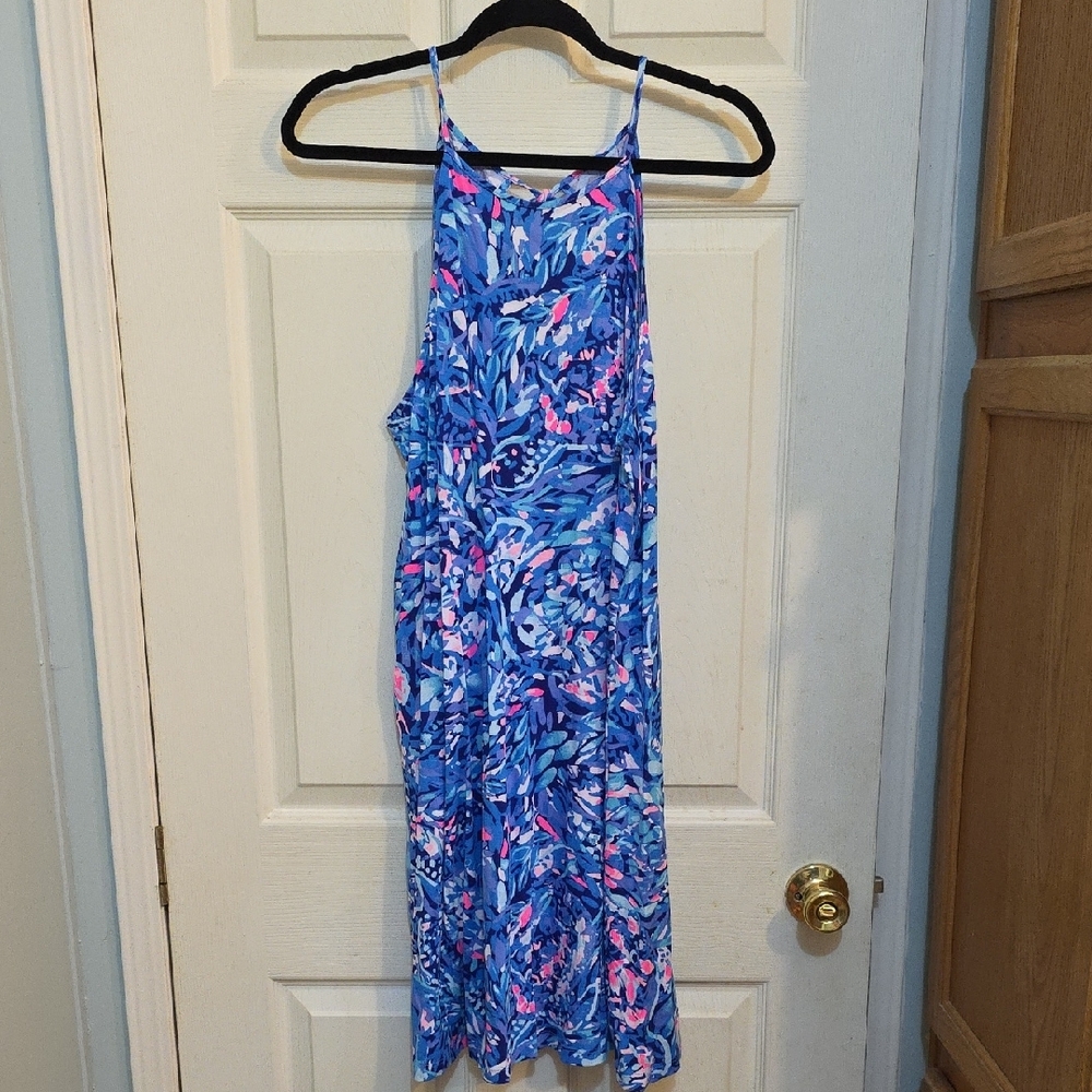 Blue and Pink Floral Dress